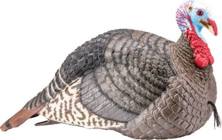 HS STRUT TURKEY DECOY JAKE STRUT-LITE