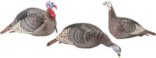 HS STRUT TURKEY DECOY FLOCK STRUT-LITE HEN/JAKE FEEDER