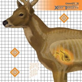 CHAMPION X-RAY TARGET DEER 25"X25" 6-PACK