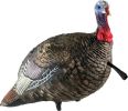 AVIAN X LCD QUARTER STRUT JAKE DECOY