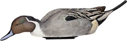 AVIAN X POWER SHAKER PINTAIL SURFACE FEEDER DECOY!