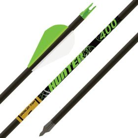 GOLD TIP ARROW HUNTER XT 340 2" RAPTOR VANES 1/2DOZ