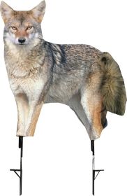 MONTANA DECOY COYOTE SONG DOG