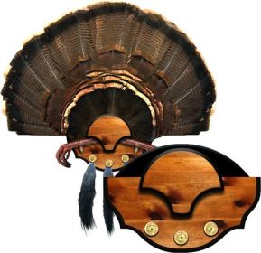MOUTAIN MIKE'S BEARD MASTER TURKEY PLAQUE KIT