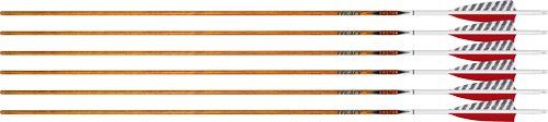 EASTON ARROW 6.5 CARBON LEGACY (option: 400 4" Feather Left Heli. 6Pk)