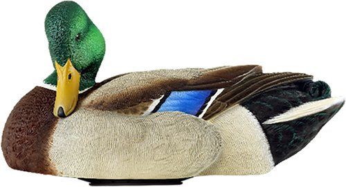 Avian X Power Shaker Mallard (Option: Drake Preener Decoy)