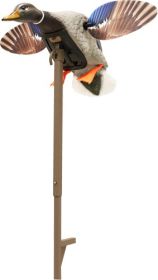 Mojo Elite Series Mini Mallard (Option: Drake Decoy)