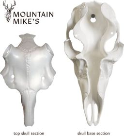 Mountain Mike'S Deer Skull (Option: Master Univ Kit 3"-5" Antlers)